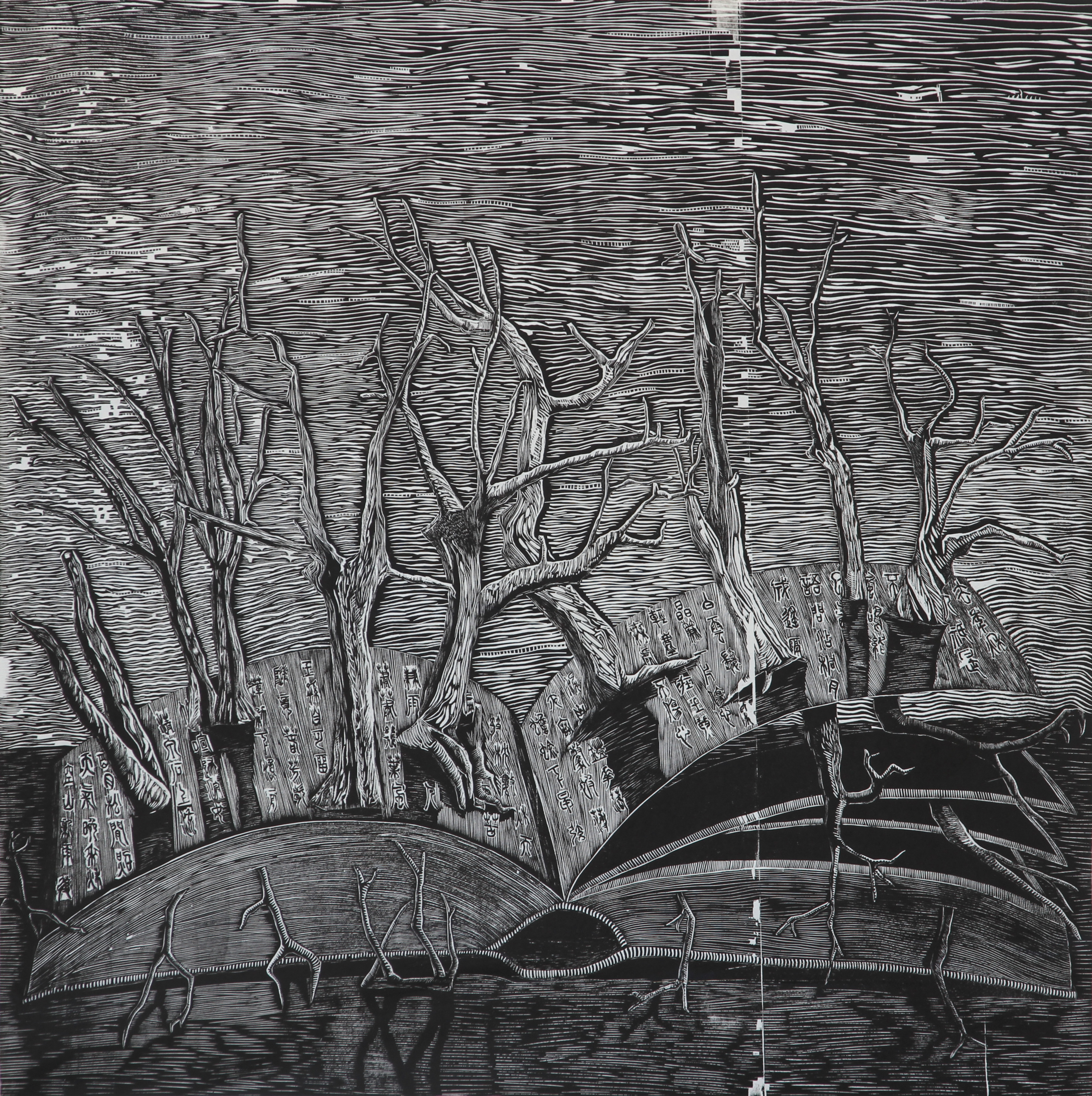 云南艺术学院2010级传统版画专业毕业展开幕