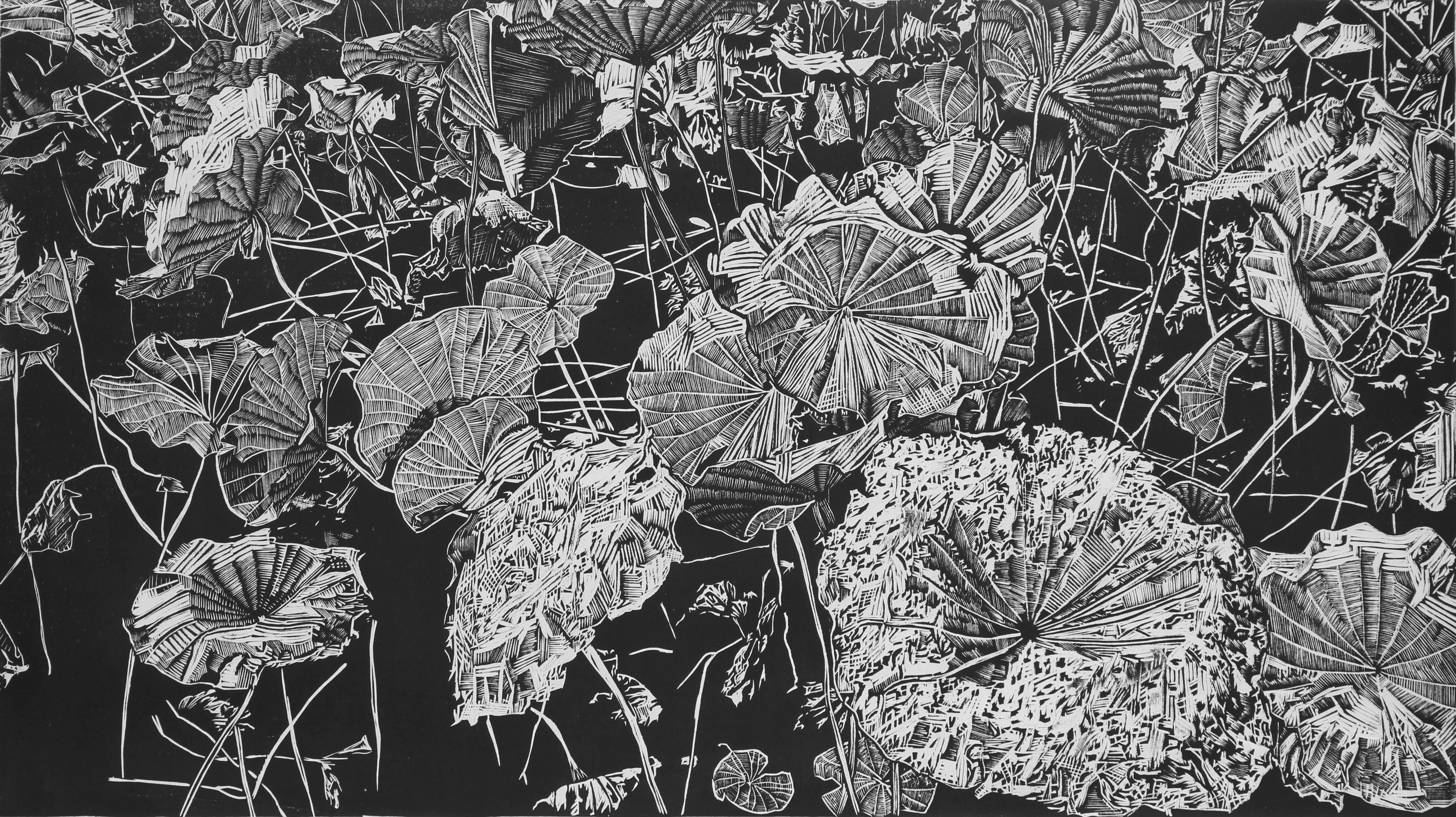 云南艺术学院2010级传统版画专业毕业展开幕