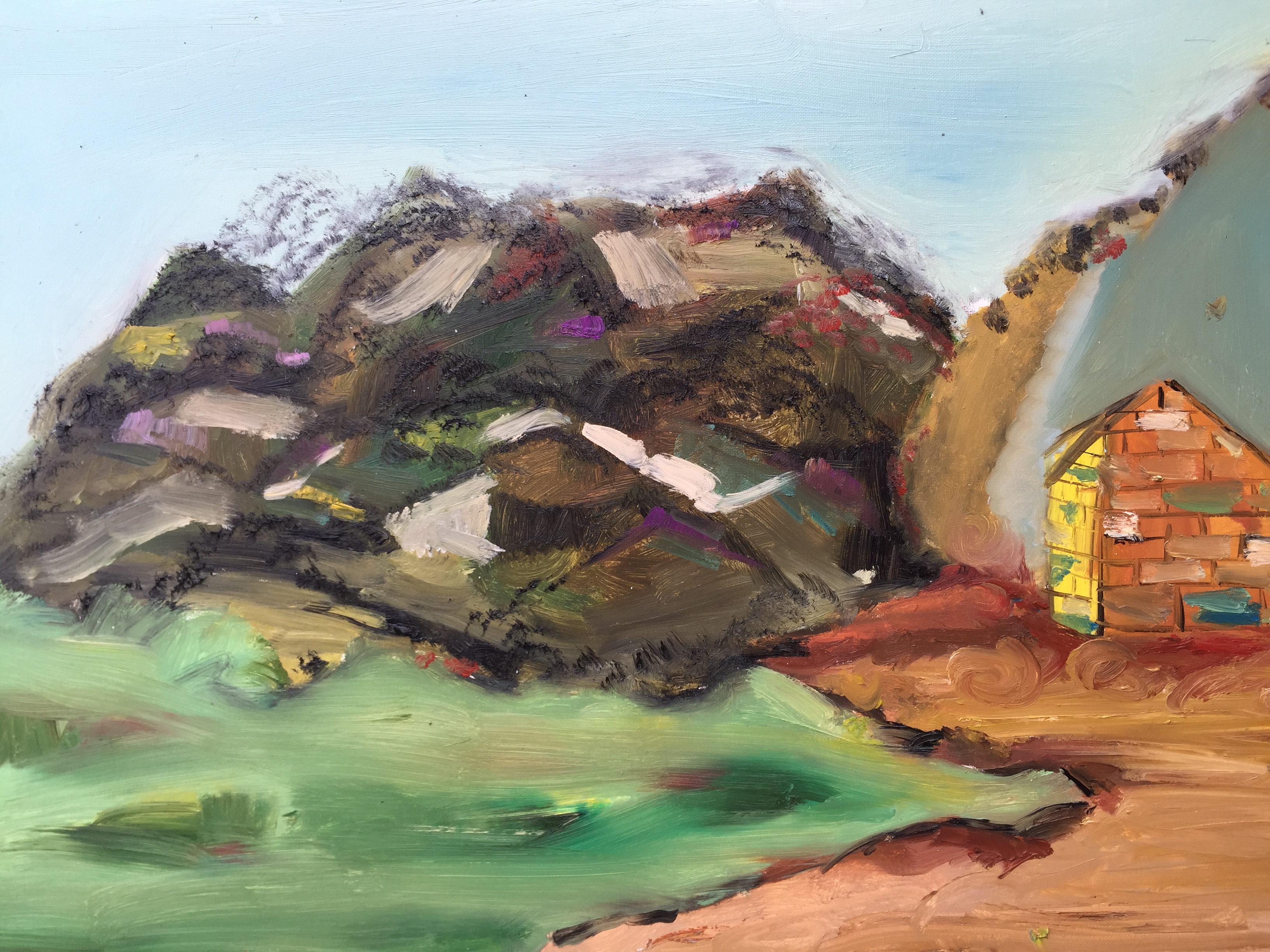 蔡瑾《山包》 布面油画 50x70 2015.jpg