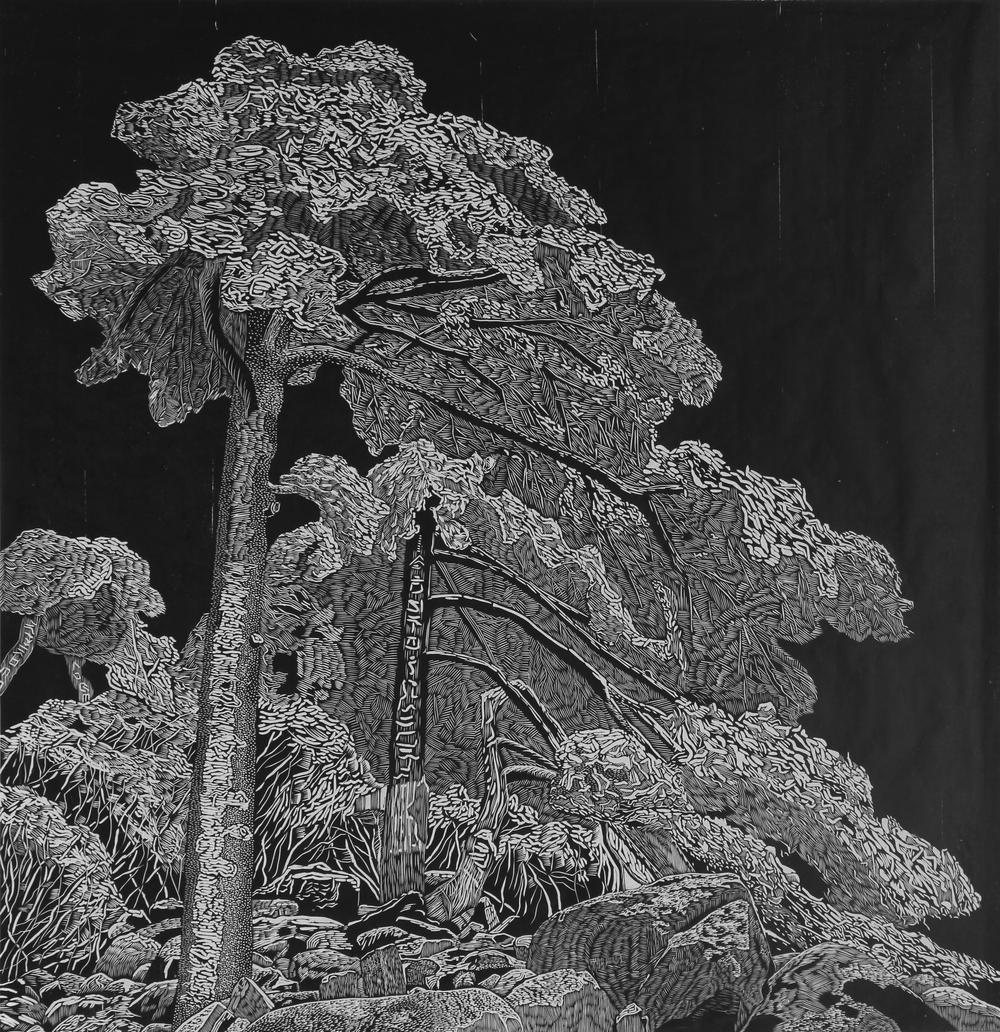 云南艺术学院2010级传统版画专业毕业展开幕