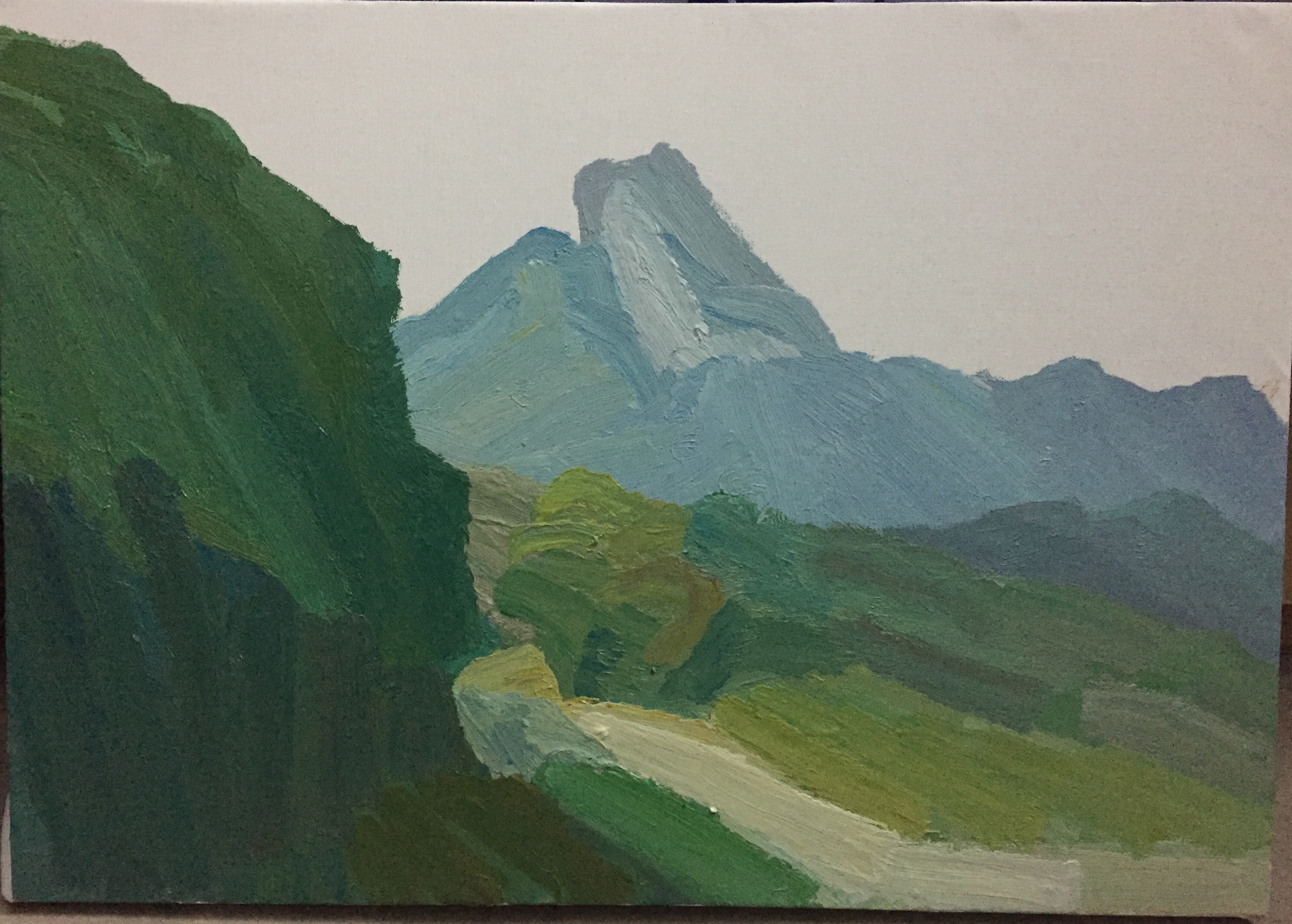 罗飞《山川之一》 布面丙烯 50x70 2015.jpg