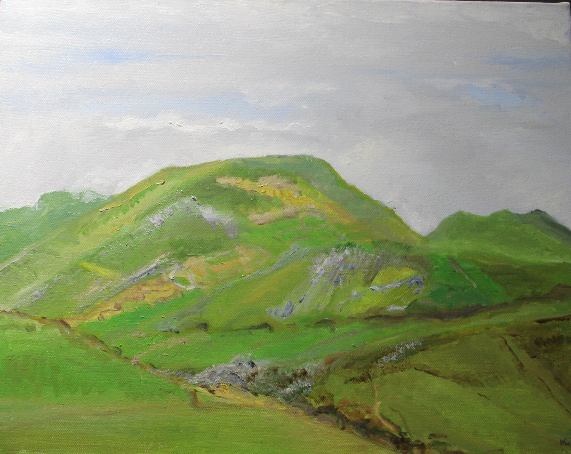 《山》李书瑾 40x50 布面油画.jpg