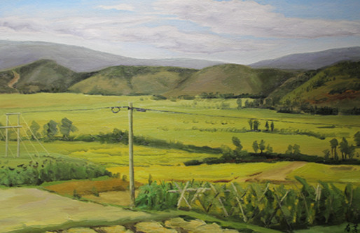 和春萍《向雾稻田》40x60cm 布面油画